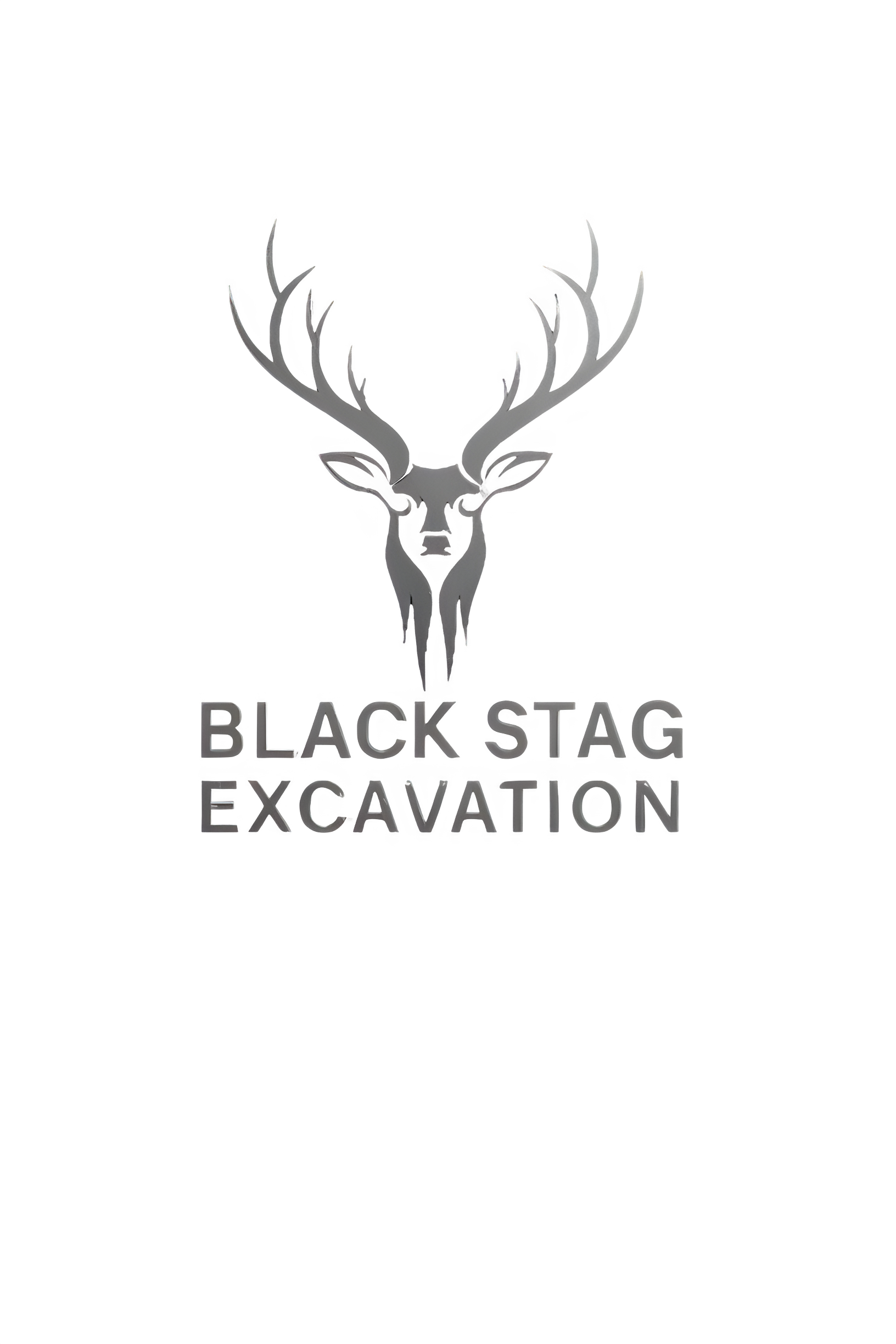 Black Stag Excavation